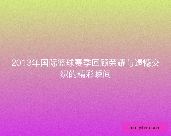 2013年国际篮球赛季回顾荣耀与遗憾交织的精彩瞬间